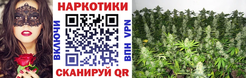Купить наркотик Правдинск МАРИХУАНА  Кодеин  Мефедрон 
