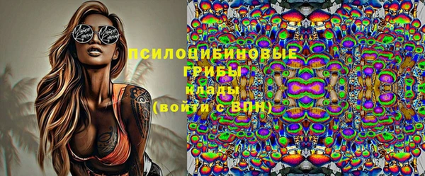 соль ск Абаза