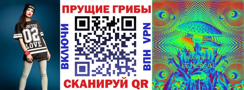 Псилоцибиновые грибы прущие грибы где можно купить наркотик KRAKEN ссылка Правдинск